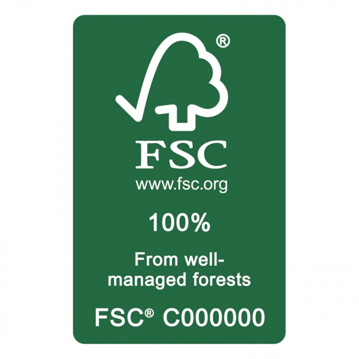 Bois FSC lit enfant